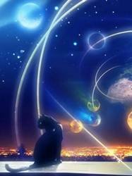 pic for kitty looking in space